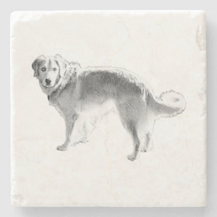 Candlelit Herbstblicken Steinuntersetzer