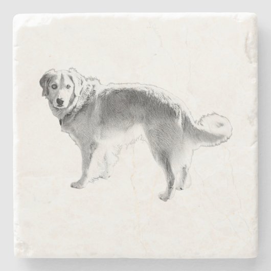 Candlelit Herbstblicken Steinuntersetzer (Vorderseite)