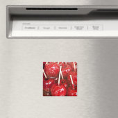 Candy-beschichtete Früchte bei der Stuttgarter Bie Magnet (In Situ (Geschirrspüler))