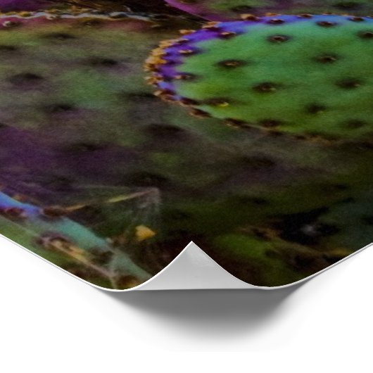 Candy Cactus Poster (Ecke)