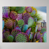 Candy Cactus Poster (Vorne)