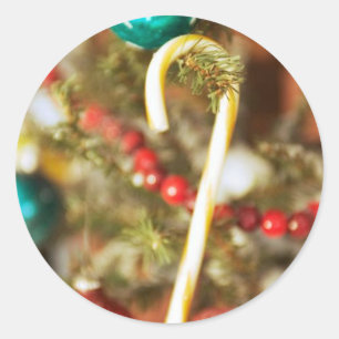 Candy Cane auf Baumkarten und Aufklebern Runder Aufkleber