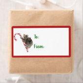 Candy Cane Australian Koala Bears Label (Insitu)