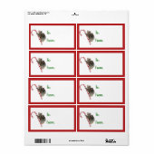 Candy Cane Australian Koala Bears Label (Vorne)