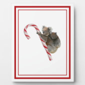 Candy Cane Australian Koala Bears Plaque Fotoplatte (Vorderseite)