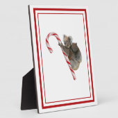Candy Cane Australian Koala Bears Plaque Fotoplatte (Seite)