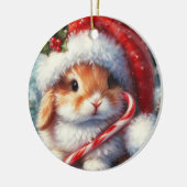 Candy Cane Bunny Rabbit Weihnachten Keramik Ornament (Links)