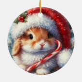 Candy Cane Bunny Rabbit Weihnachten Keramik Ornament (Hinten)