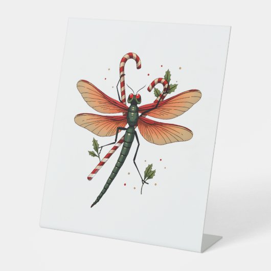Candy Cane Dragonfly Sockelschild (Vorderseite)