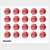 Candy Cane Holiday Stickers und Umschlag Aufkleber (Blatt)