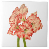 Candy Cane Lilies auf der Keramik Tile Fliese (Vorderseite)