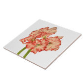 Candy Cane Lilies auf der Keramik Tile Fliese (Seite)