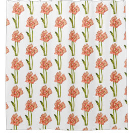 Candy Cane Lilies auf einem Duschvorhang