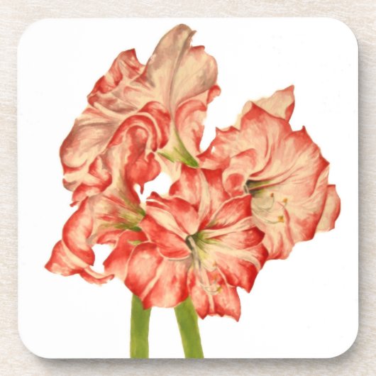 Candy Cane Lilies auf Untersetzer (Vorderseite)