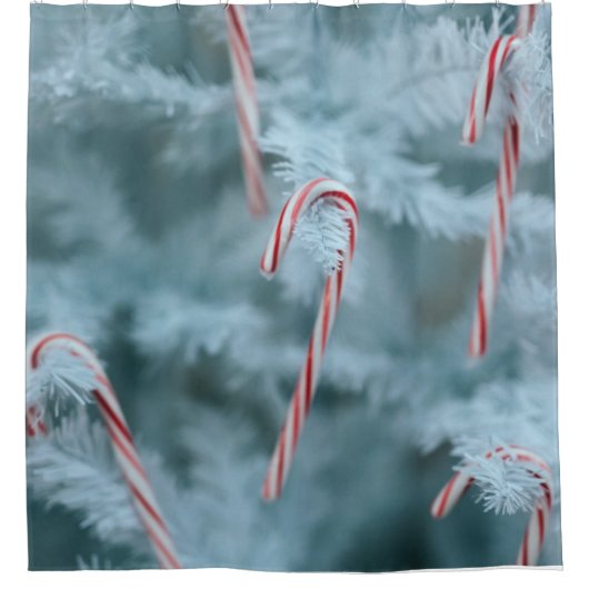 Candy Cane on Tree Duschvorhang (Vorderseite)