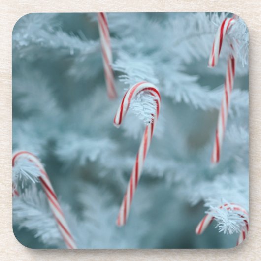 Candy Cane on Tree Getränkeuntersetzer (Vorderseite)
