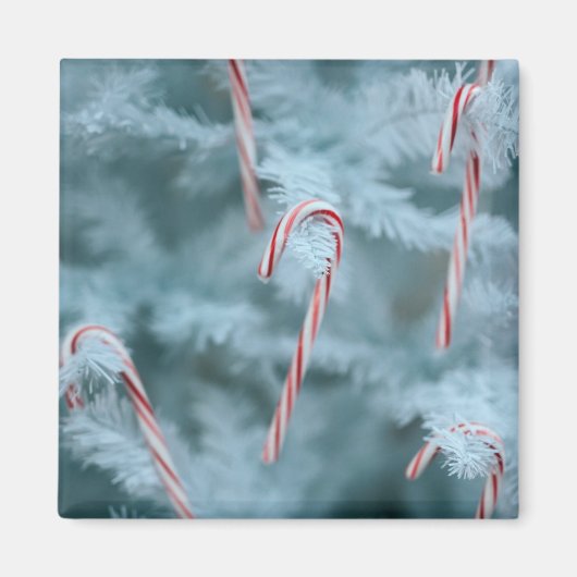 Candy Cane on Tree Magnet (Vorne)