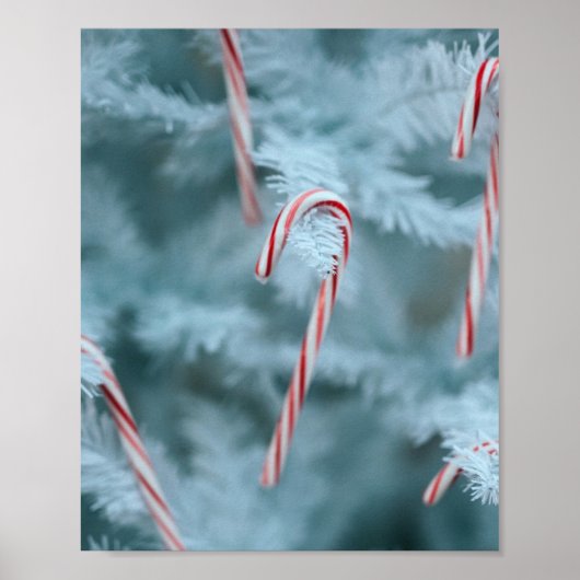 Candy Cane on Tree Poster (Vorne)