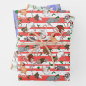 Candy Cane Pet Rattie Weihnachten! Geschenkpapier Set (Beispiel)