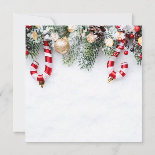 Candy Cane ,Pine Tree Branches Weihnachten Einladung (Rückseite)
