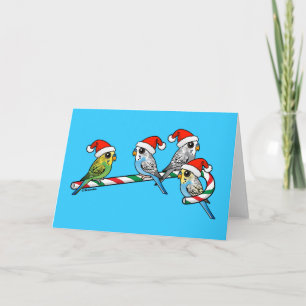Candy Cane Santa Budgies Feiertagskarte