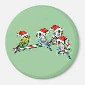 Candy Cane Santa Budgies Magnet (Vorne)