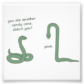 Candy Cane Snake Fotodruck (Vorne)