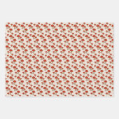 Candy Cane Streifen und Pilze Geschenkpapier Set (Vorderseite)