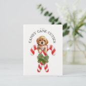 Candy Cane Süssen Dog Feiertagskarte (Stehend Vorderseite)