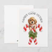 Candy Cane Süssen Dog Feiertagskarte (Vorne/Hinten)