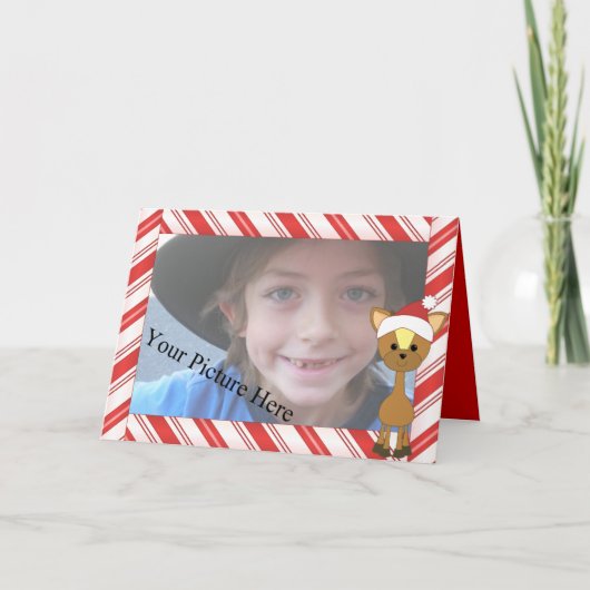 Candy-Cane Wayne Deer Feiertagskarte (Vorderseite)