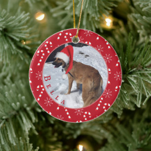 Candy Canes and Snowflakes Hunde Foto Ornament