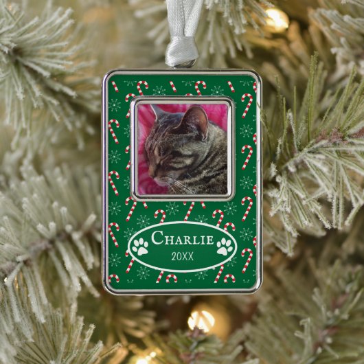 Candy Canes Cat Foto Green Gerahmt Ornament Rahmen-Ornament Silber (Baum)