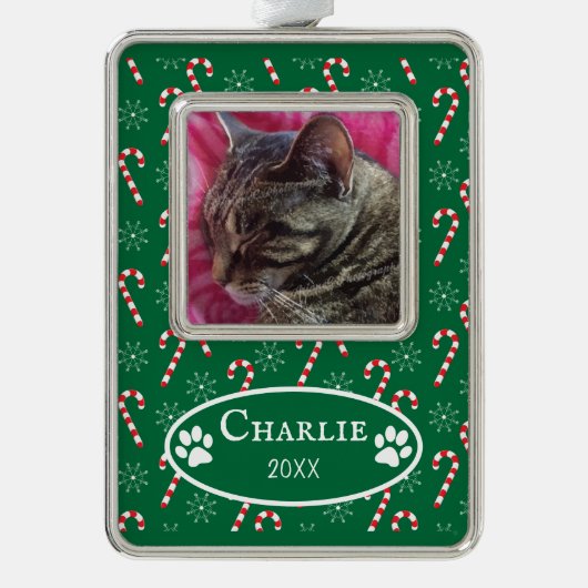 Candy Canes Cat Foto Green Gerahmt Ornament Rahmen-Ornament Silber (Vorderseite)