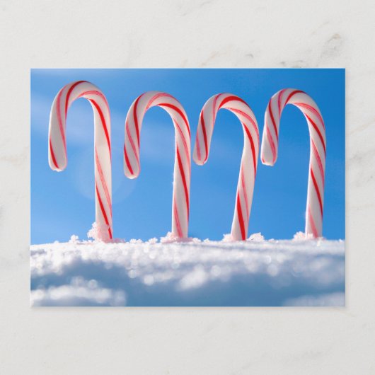 Candy Canes Feiertagspostkarte (Vorderseite)