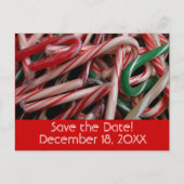 Candy Canes Holiday Save the Date Ankündigungspostkarte (Vorderseite)