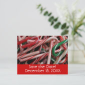 Candy Canes Holiday Save the Date Ankündigungspostkarte (Stehend Vorderseite)
