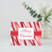 Candy Canes Postcard Feiertagspostkarte (Stehend Vorderseite)