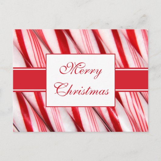 Candy Canes Postcard Feiertagspostkarte (Vorderseite)