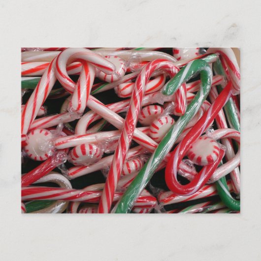 Candy Canes und Pfefferminz Weihnachtsfeiertag Feiertagspostkarte (Vorderseite)