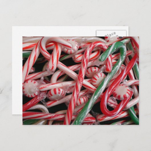 Candy Canes und Pfefferminz Weihnachtsfeiertag Postkarte (Vorne/Hinten)