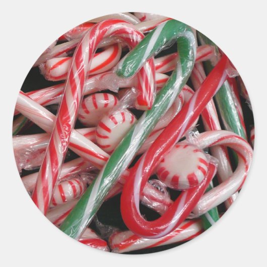 Candy Canes und Pfefferminz Weihnachtsfeiertag Runder Aufkleber (Vorderseite)