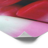 Candy Corn Poster (Ecke)