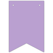Candy Crush Theme Lavender to Mint Green Wimpelkette (Dritte Fahne)