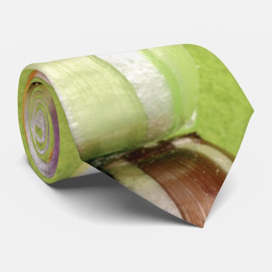 Candy Krawatte (Gerollt)