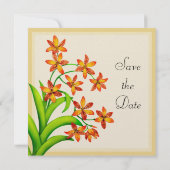 Candy Lily Blume Save the Date (Rückseite)