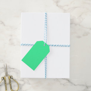 Candy Mint Green Geschenkanhänger