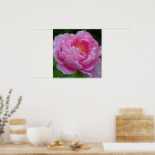 "CANDY PINK PEONY" (FOTOG) POSTER (Küche)