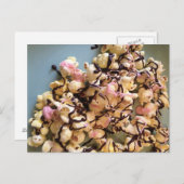 Candy Popcorn Postkarte (Vorne/Hinten)