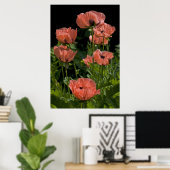 Candy Pops drucken Poster (Heimbüro)